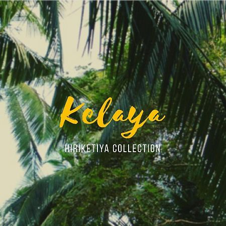 Kelaya At Hiriketiya Collection Hotel Dikwella Sur Exterior foto