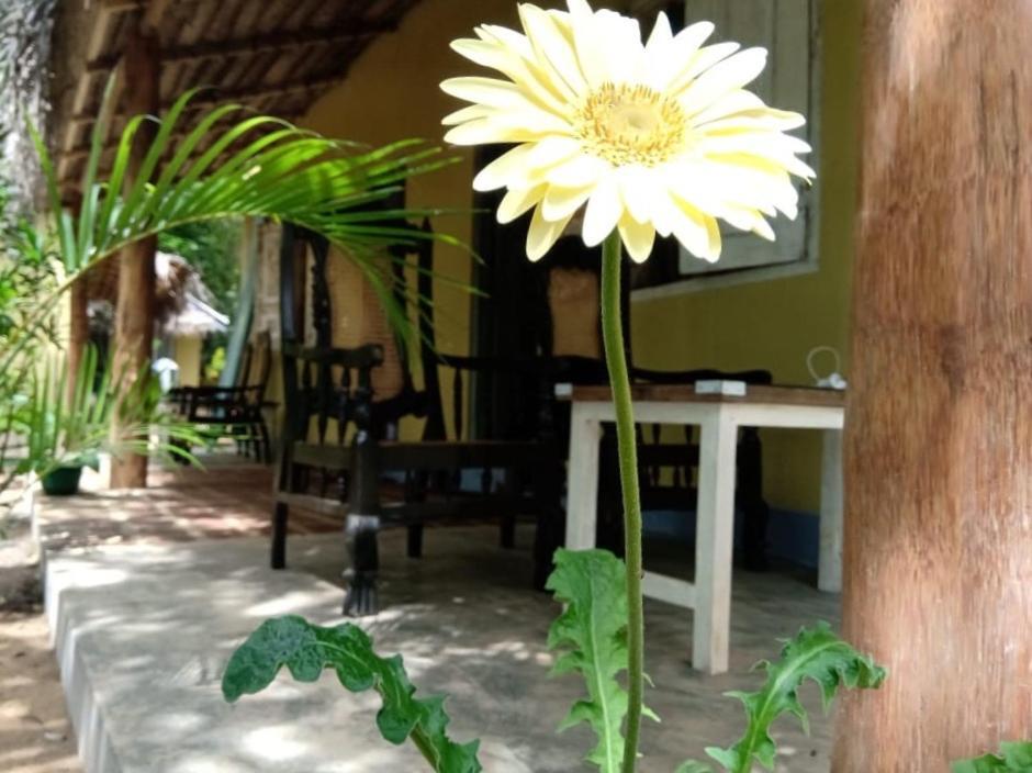Kelaya At Hiriketiya Collection Hotel Dikwella Sur Exterior foto